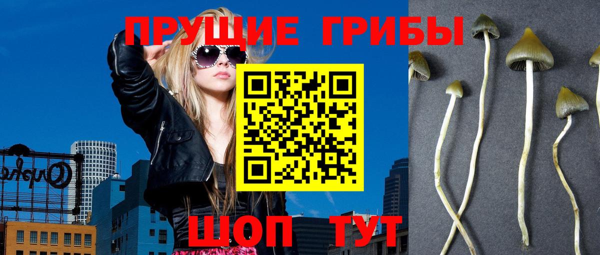 Галлюциногенные грибы мухоморы Фрязино